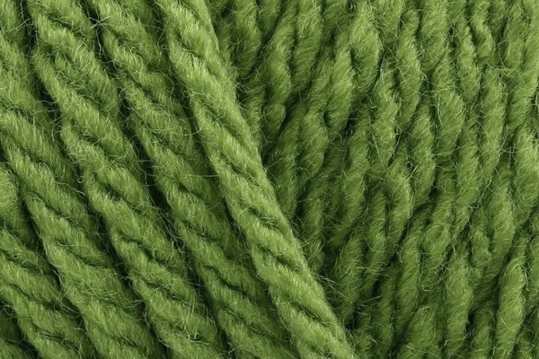 Hayfield Bonus Chunky Fern Green 603 - 100g