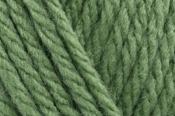Hayfield Bonus Chunky Grass 825 - 100g