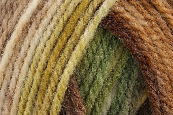 King Cole Bramble DK Greengage 4496 - 100g