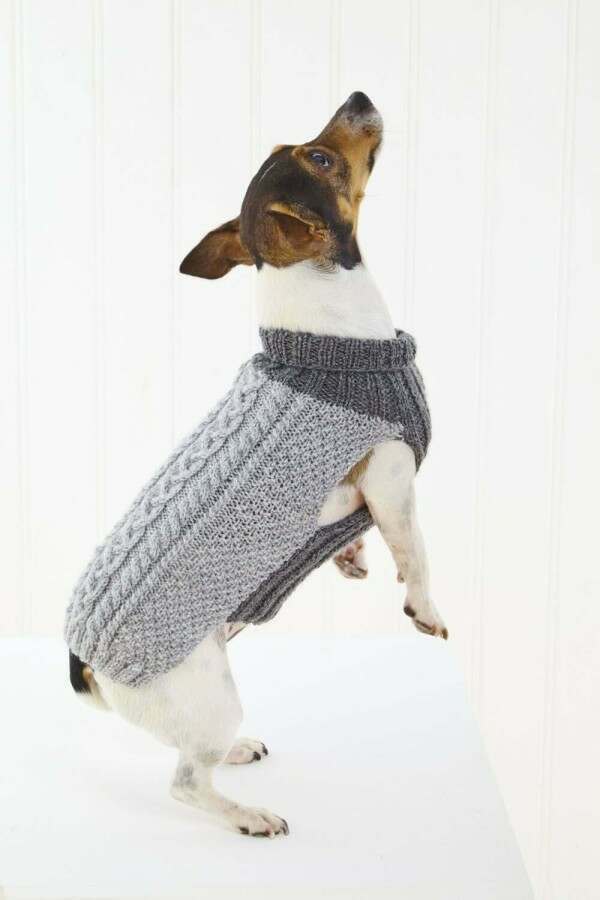 King Cole 6467 Dog Coats in Pricewise DK Leaflet