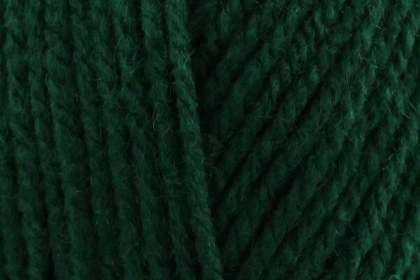 Stylecraft Special DK Bottle 1009 - 100g