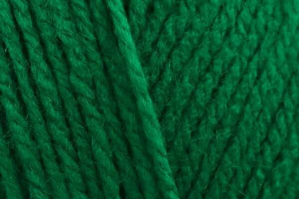 Stylecraft Special DK Green 1116 - 100g