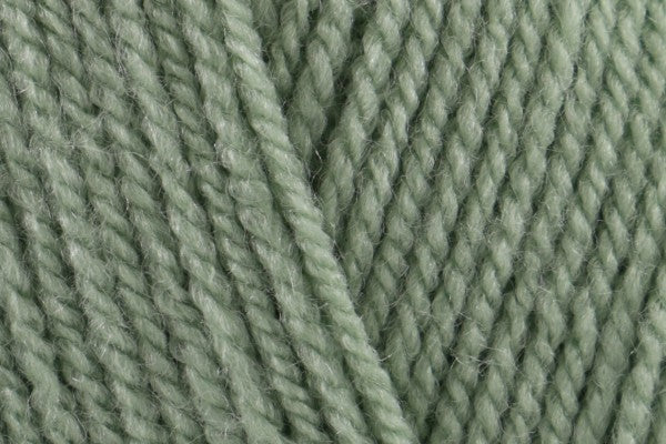 Stylecraft Special DK Lincoln 1834 - 100g