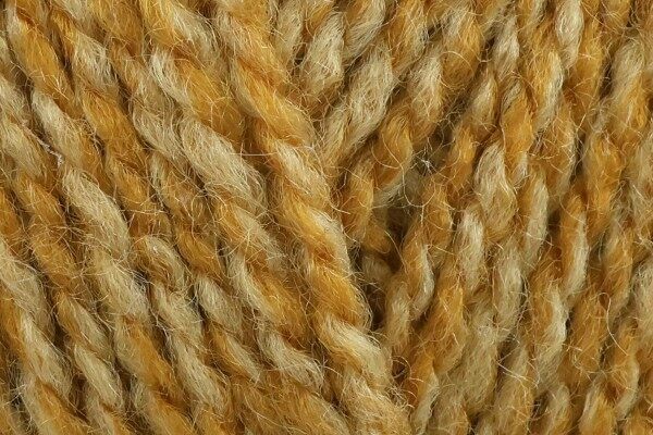 Stylecraft Special DK Honey Mix 2194 - 100g