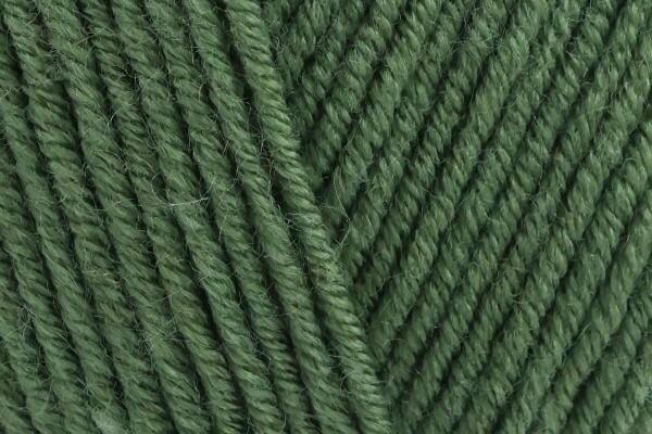 Stylecraft Bambino DK Fierce Fern 7355 - 100g
