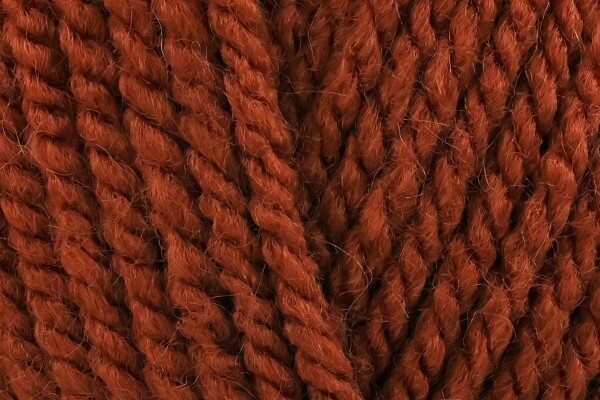 Wendy Supreme Aran Cinnamon SA25 - 100g