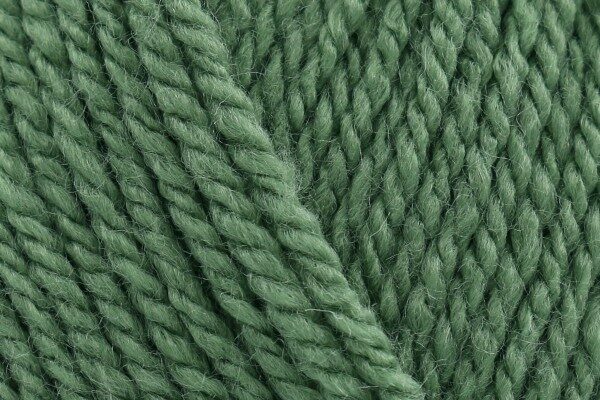 Wendy Supreme Aran Mint SA60 - 100g