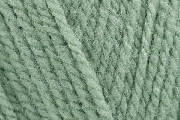 Wendy Supreme Aran Aloe SA61 - 100g