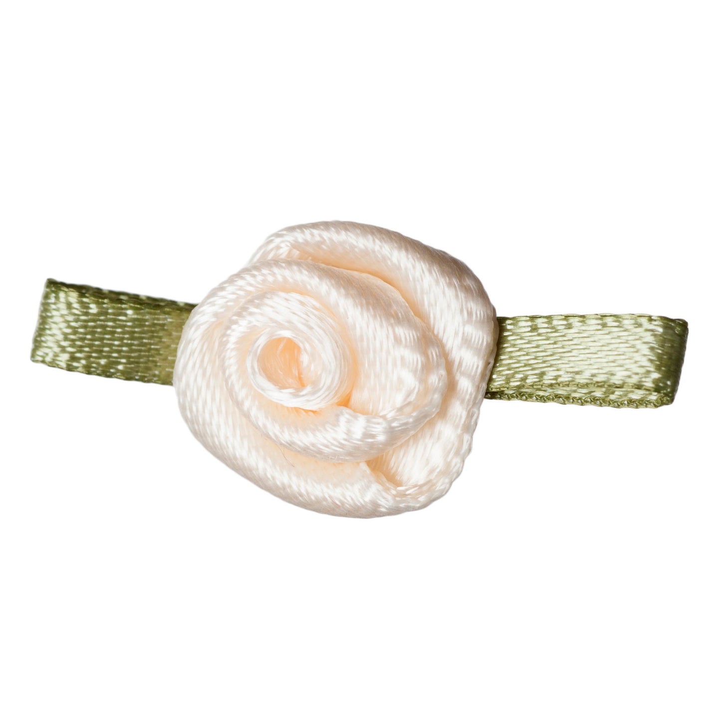 Small Cream Rose with Green Leaves