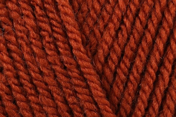 Wendy Supreme DK Cinnamon WD25 - 100g