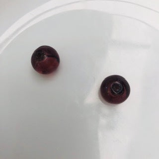 Small Glass Round Bead : Claret