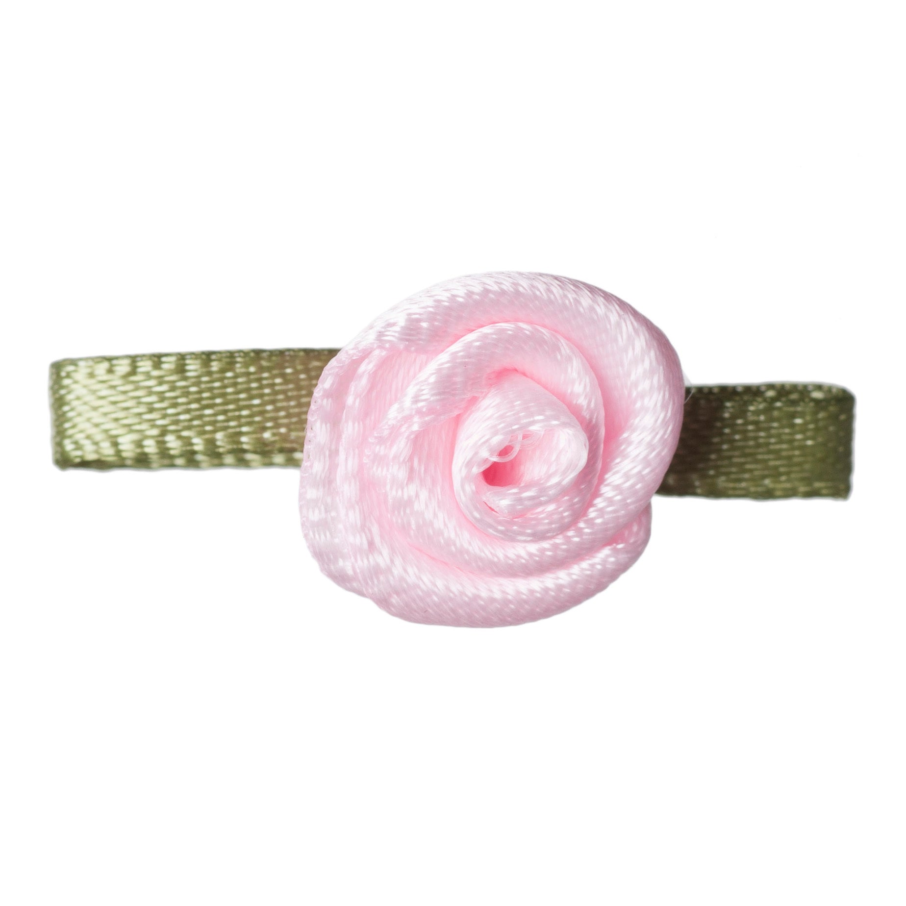 Small Pale Pink Rose with Green Leaves