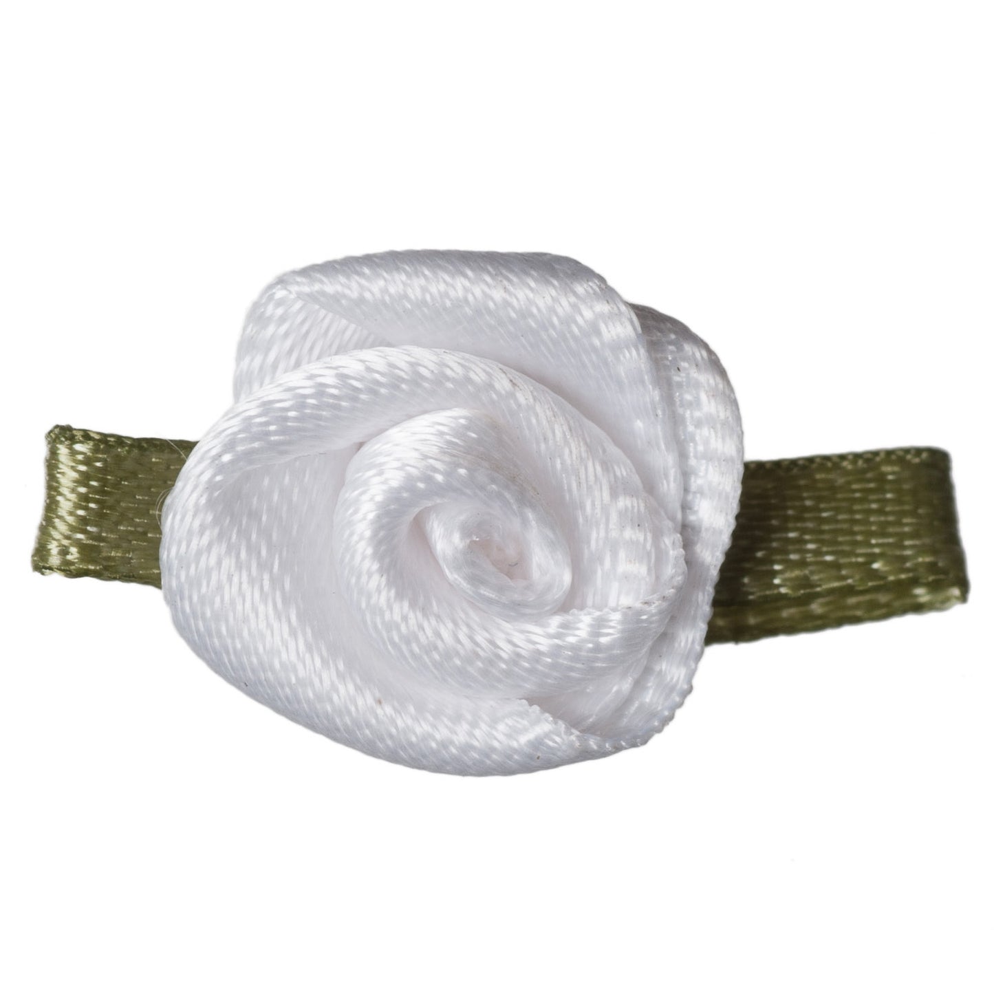 Small White Rose with Green Leaves