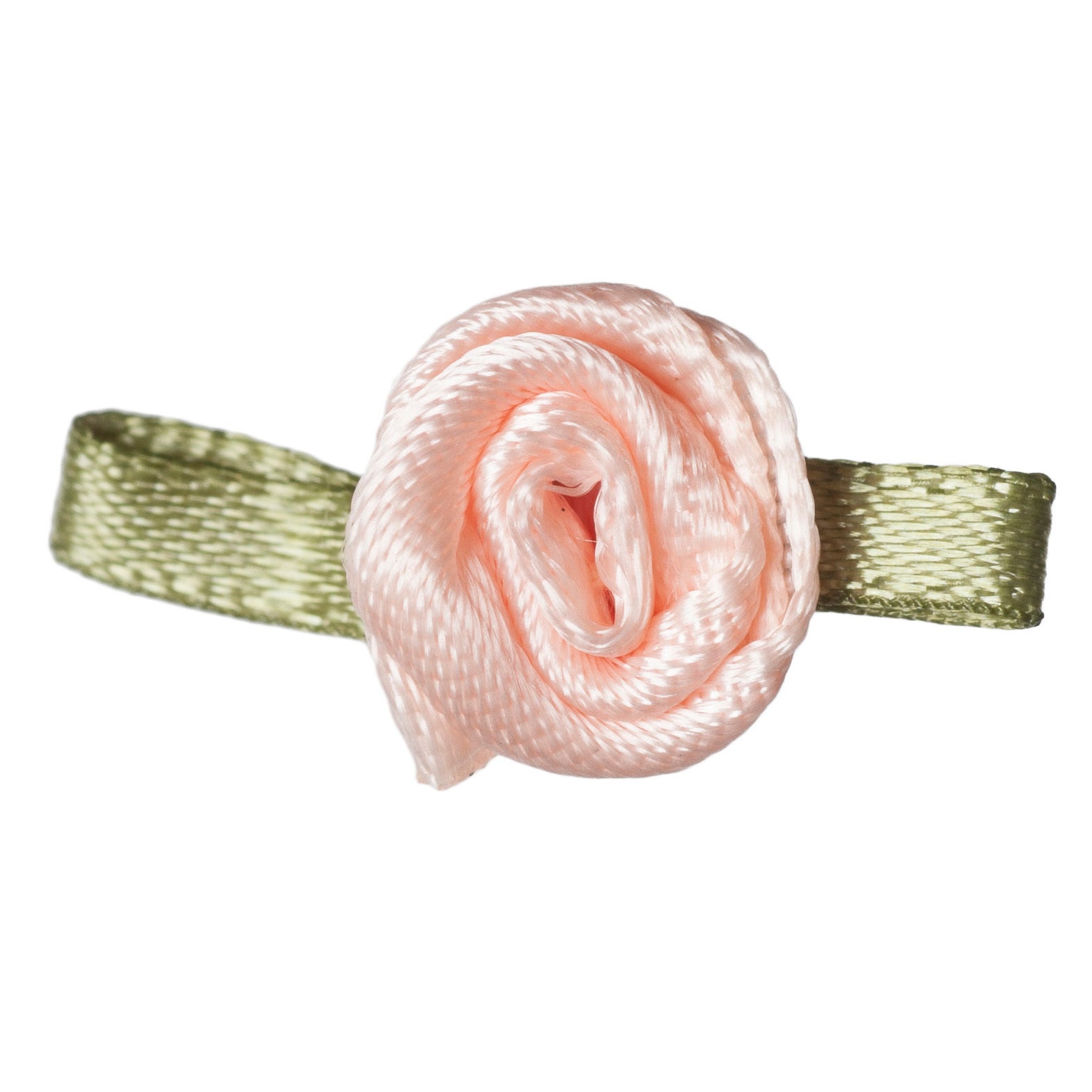 Small Light Peach Rose with Green Leaves