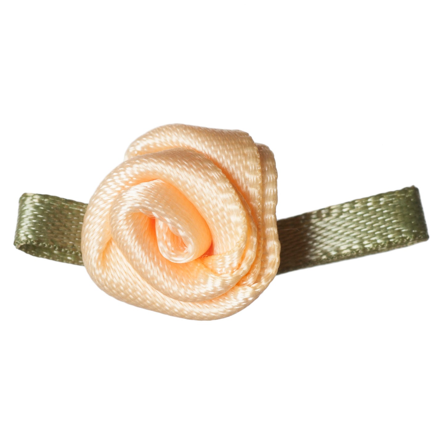 Small Buttercup Rose with Green Leaves