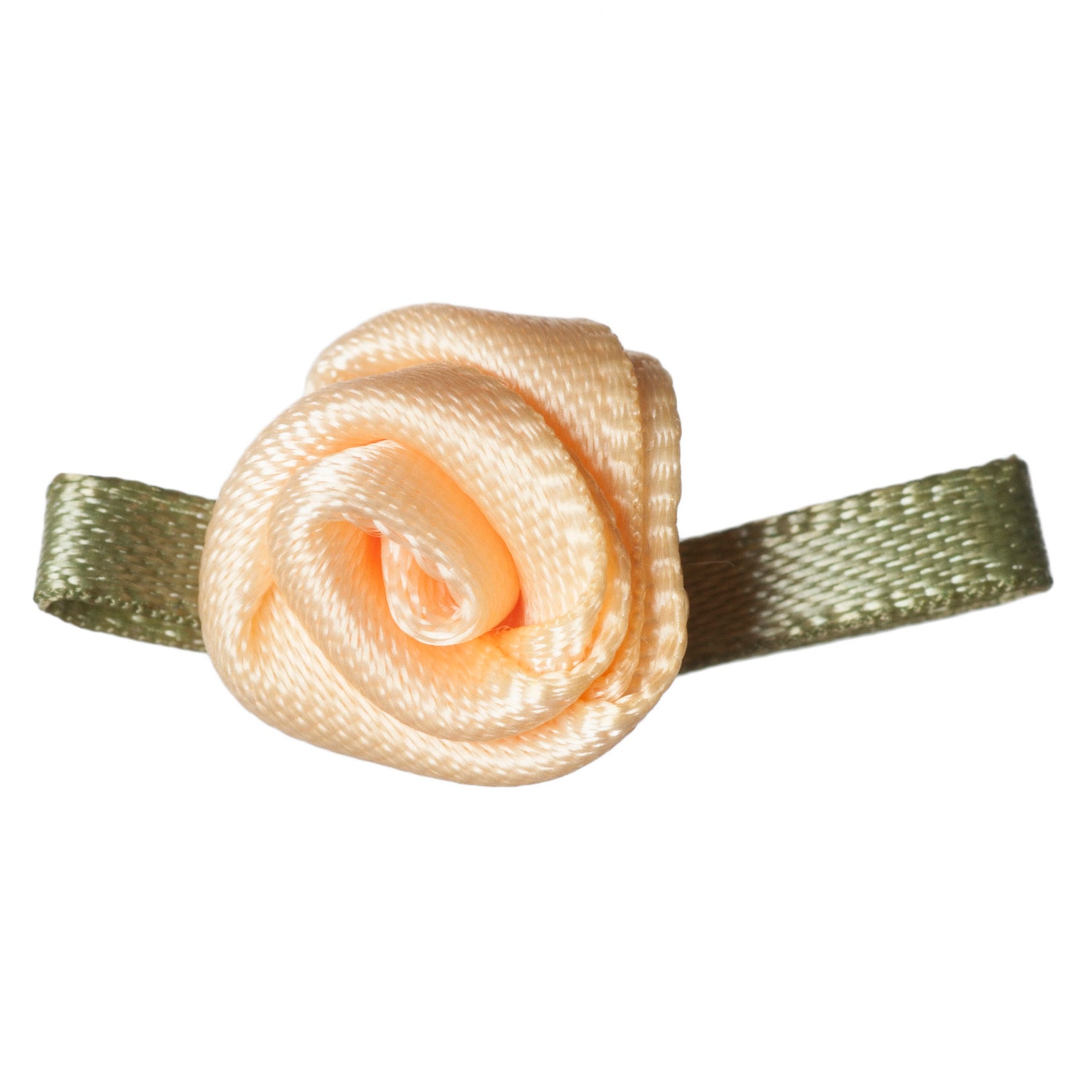 Small Buttercup Rose with Green Leaves