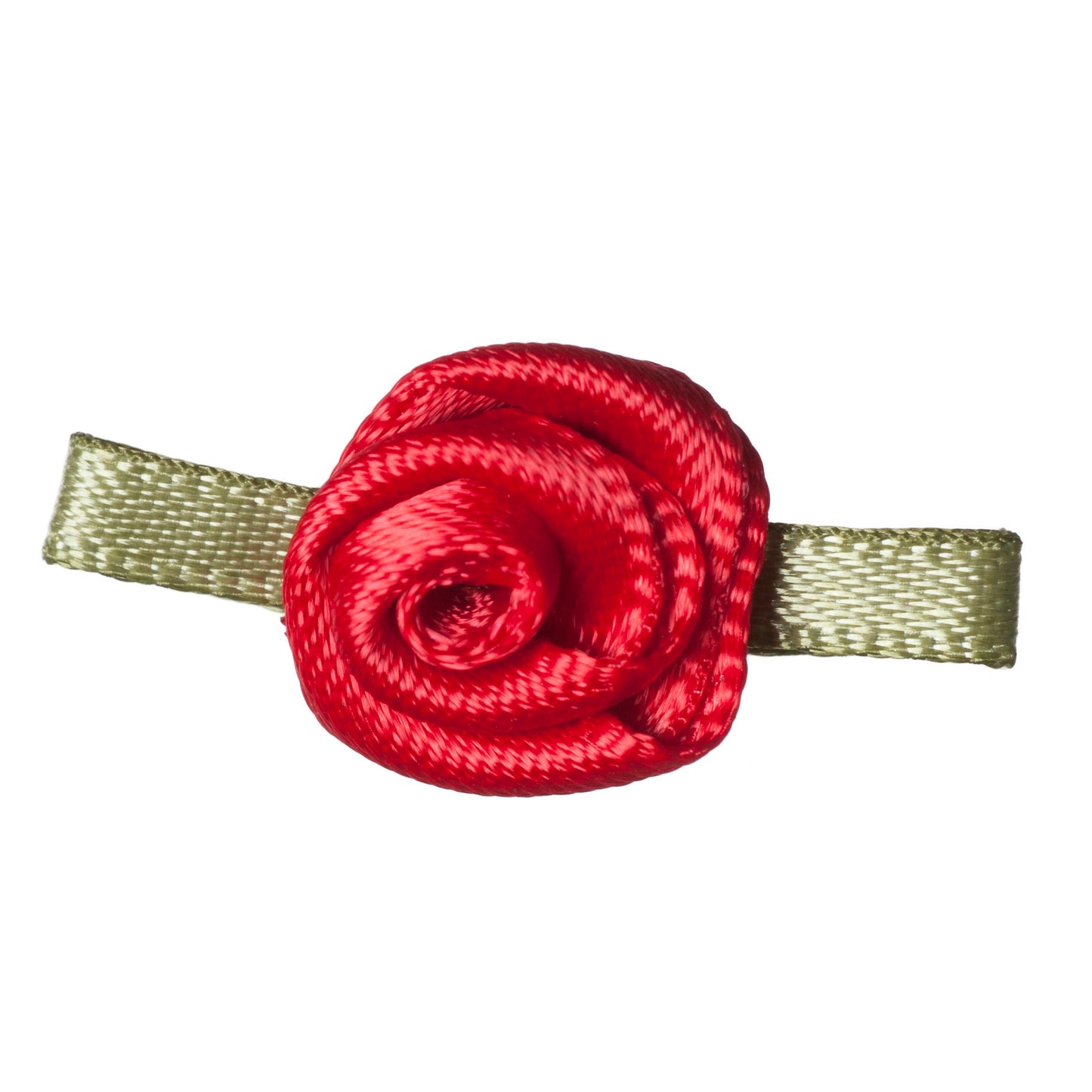 Small Red Rose with Green Leaves