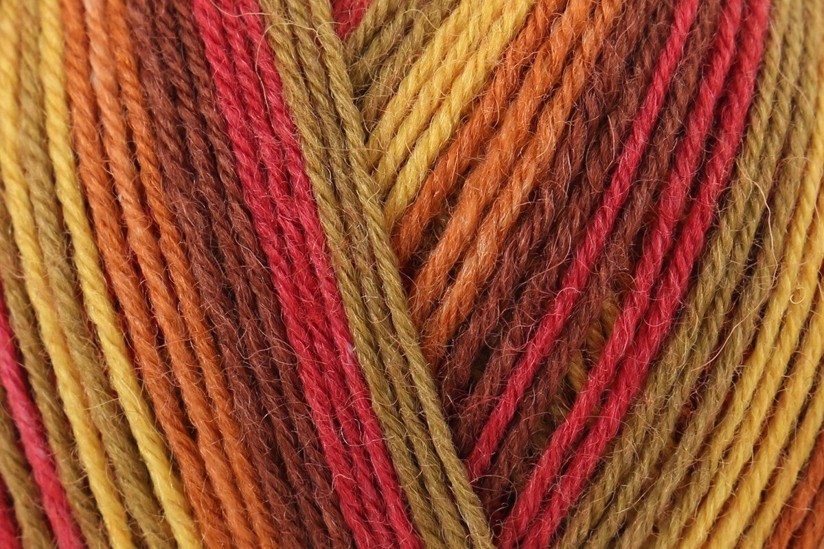 West Yorkshire Spinners Signature 4 Ply 100g Autumn Leaves 885 - Winwick Mum Collection