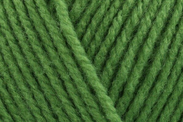 Stylecraft 2176 Leaf Special DK 100g